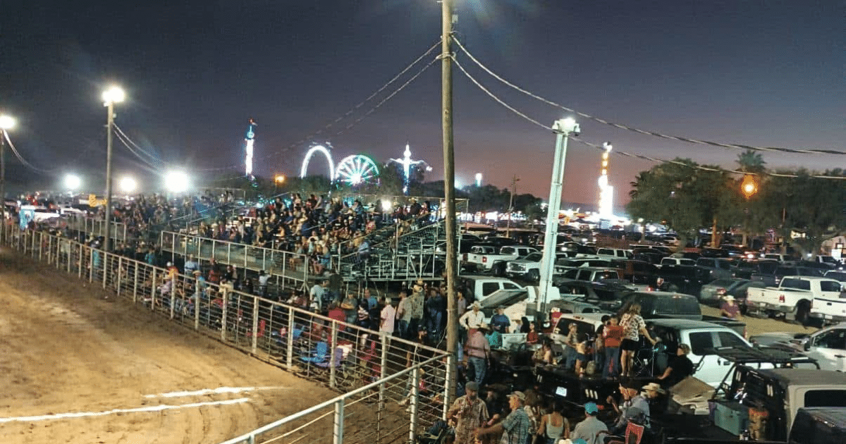 Jim Wells County Fair returns with livestock shows, carnival and live music
